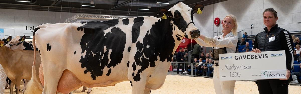 MALKEKVÆG¤Kåring af Miss Himmerland & KIMBRERKOEN